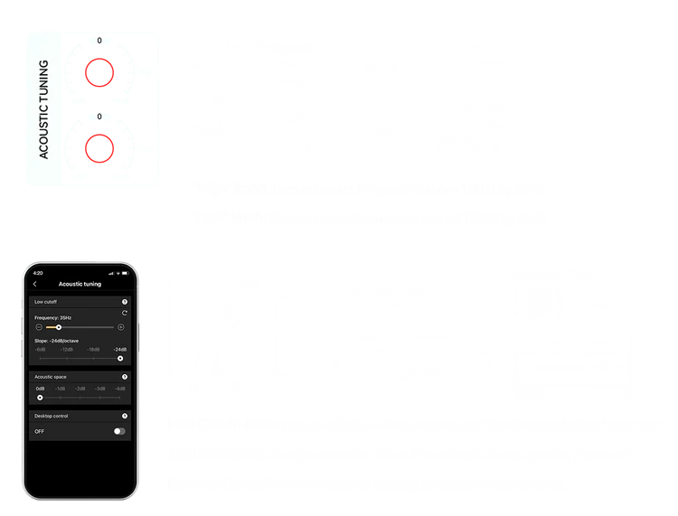 DSP-Based Acoustic Tuning